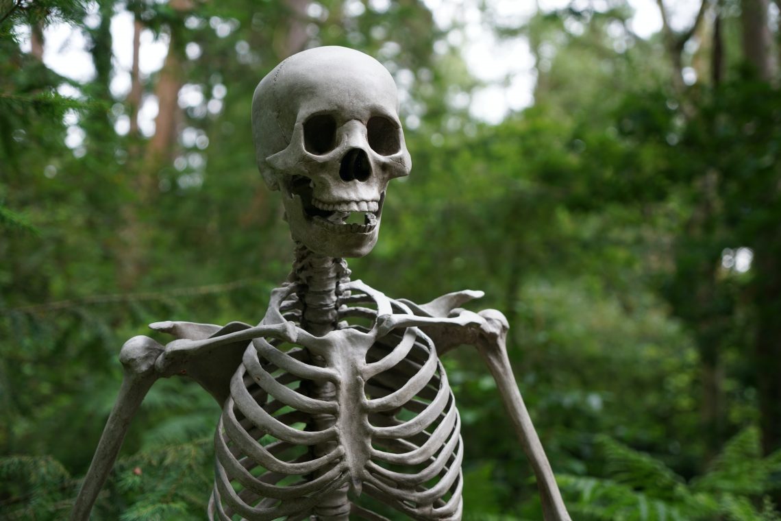 halloween schminken kinder skelett